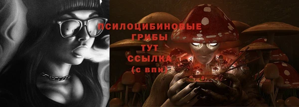 ешки Дмитровск