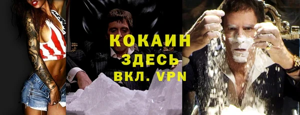трава Дмитриев