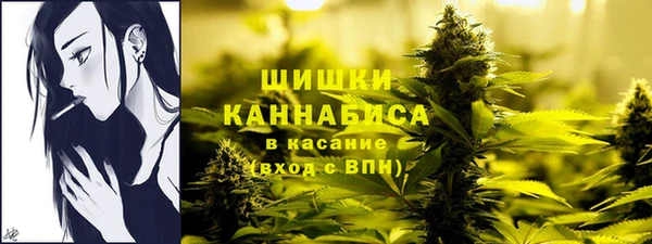 трава Дмитриев