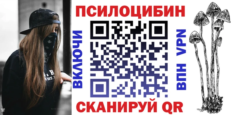 как найти наркотики  Ейск  hydra ТОР  Галлюциногенные грибы Psilocybe 